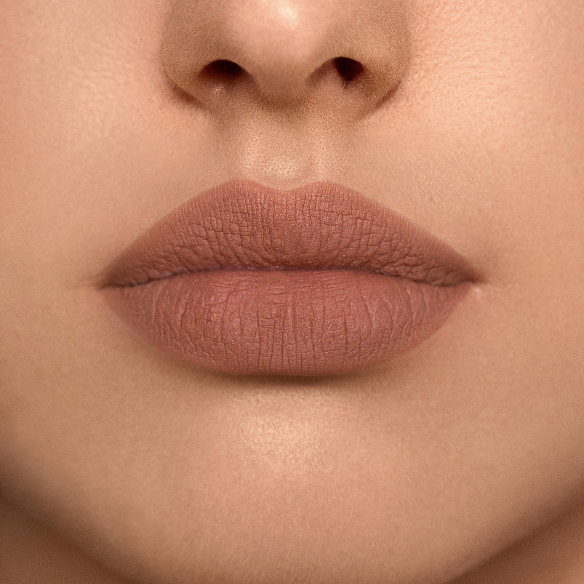 MONOCHROME MOMENT LIP CRAYON (L&Aacute;PIZ LABIAL)